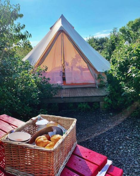 ホテルThe Holford Arms Chalets And Glamping ディドマートン エクステリア 写真