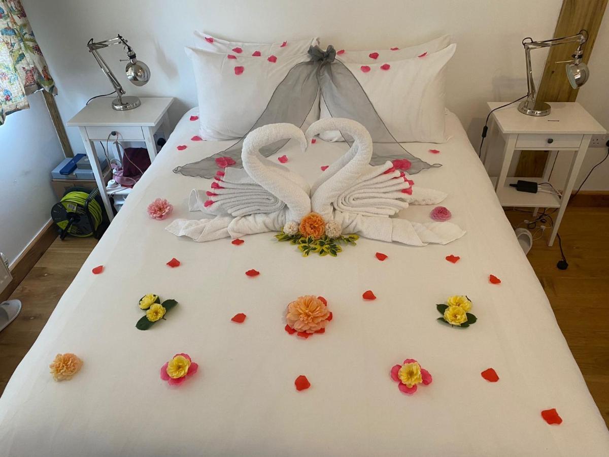 ホテルThe Holford Arms Chalets And Glamping ディドマートン エクステリア 写真