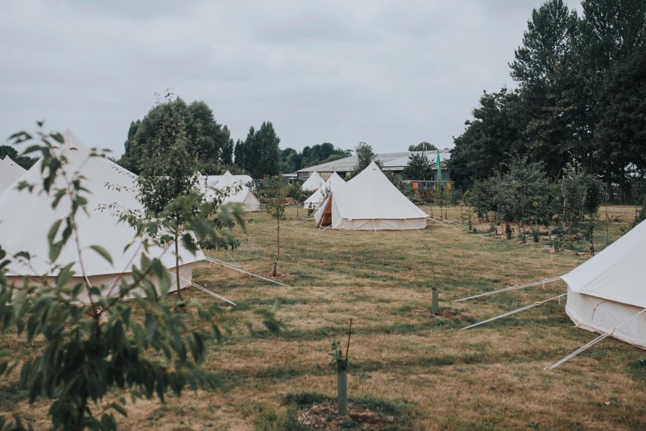 ホテルThe Holford Arms Chalets And Glamping ディドマートン エクステリア 写真
