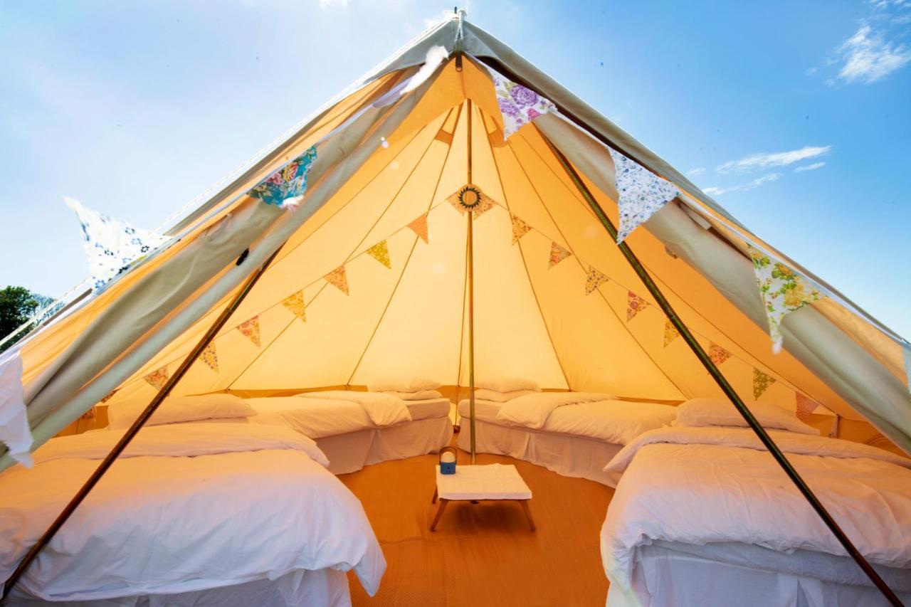 ホテルThe Holford Arms Chalets And Glamping ディドマートン エクステリア 写真